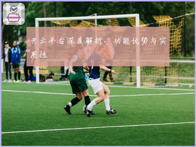 开云平台深度解析，功能优势与实用性