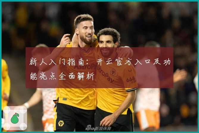 新人入门指南：开云官方入口及功能亮点全面解析