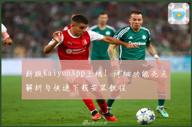 新版KaiyunApp上线！详细功能亮点解析与快速下载安装教程