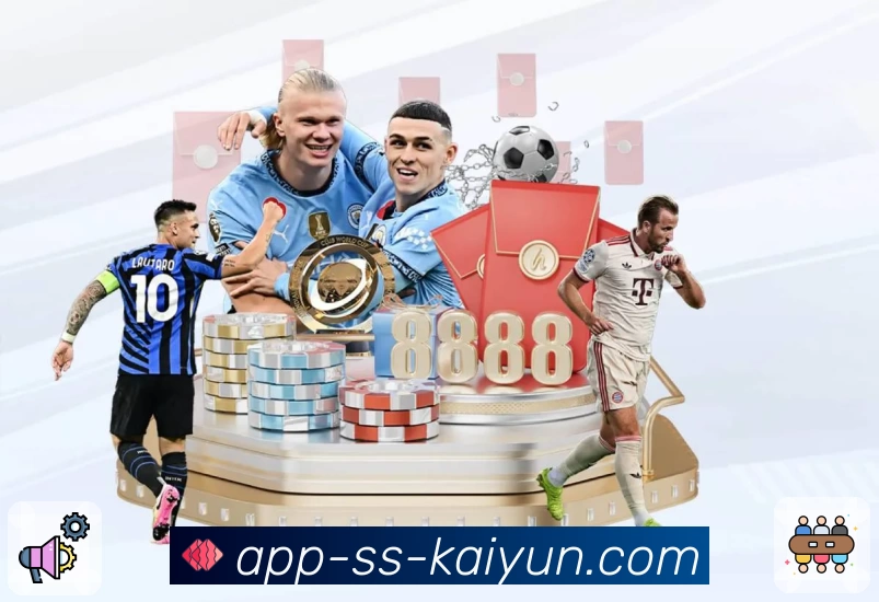 kaiyun平台展示图